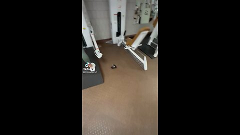 Fitness Tuesday Workout 🏋️‍♀️ Over 45 Motivational