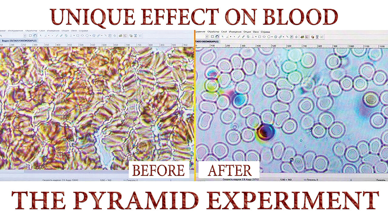 Unique Effect on Blood. The PYRAMID Experiment