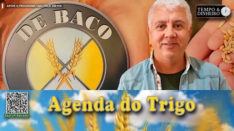 Câmbio fraco e clima incerto...