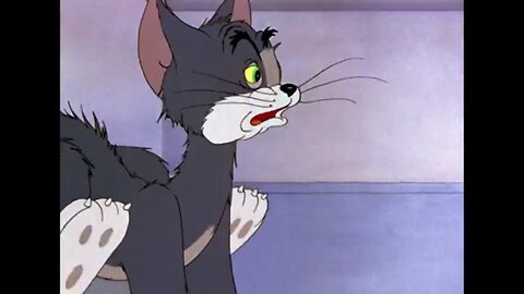 Tom And Jerry: Jerry Catches Tom