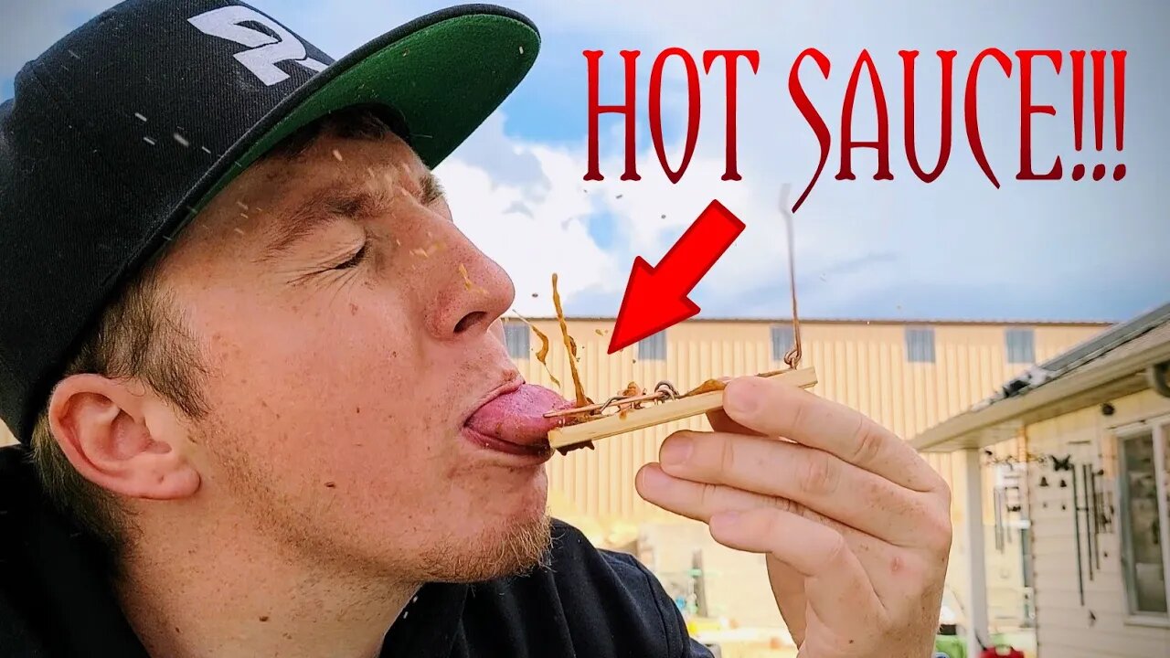 Mouse Trap Covered in Hot Sauce!!!