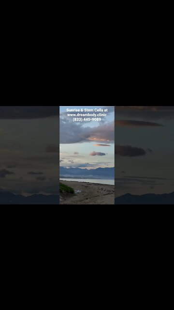 Sunrise & Stem Cells @ #dreambodyclinic #stemcells #sunrise #stemcelltherapy #health #healthcare