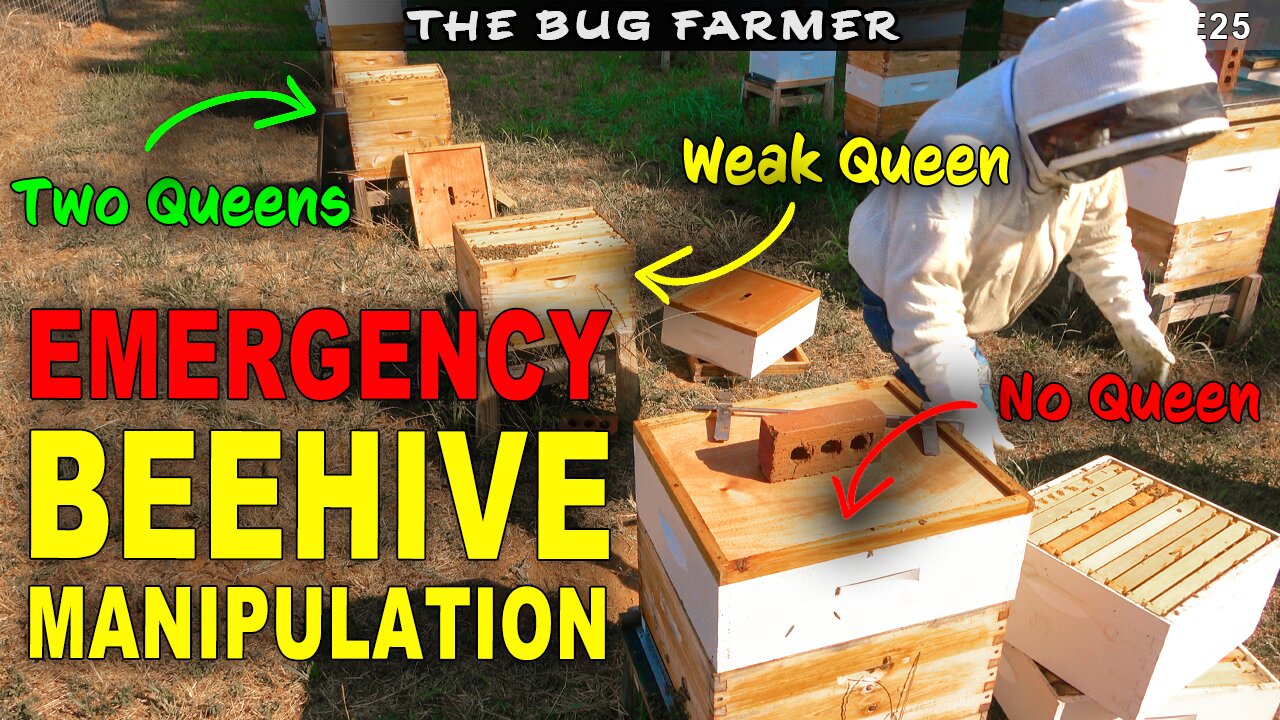 Emergency Beehive Manipulation