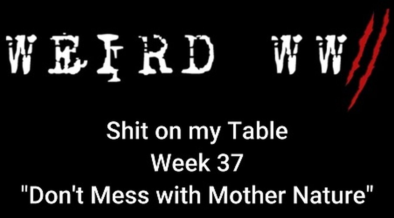 Shit on my Table 37