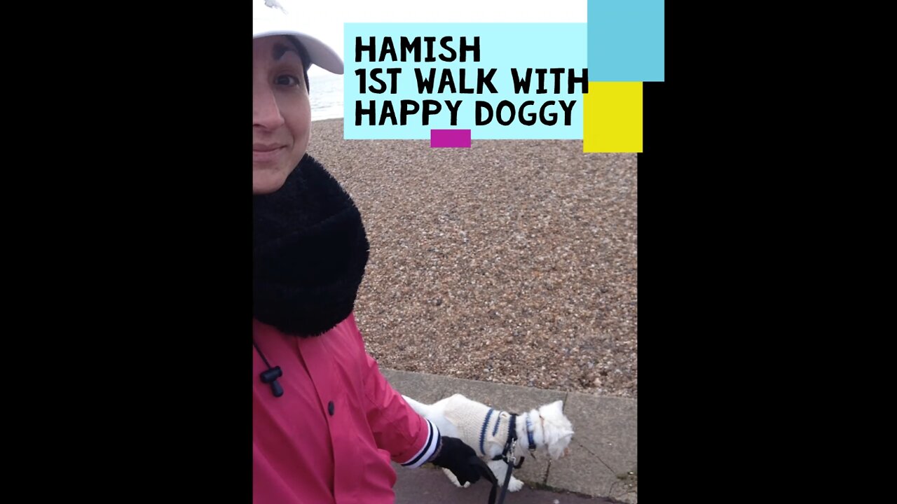 Hamish 1st Walk with Happy Doggy