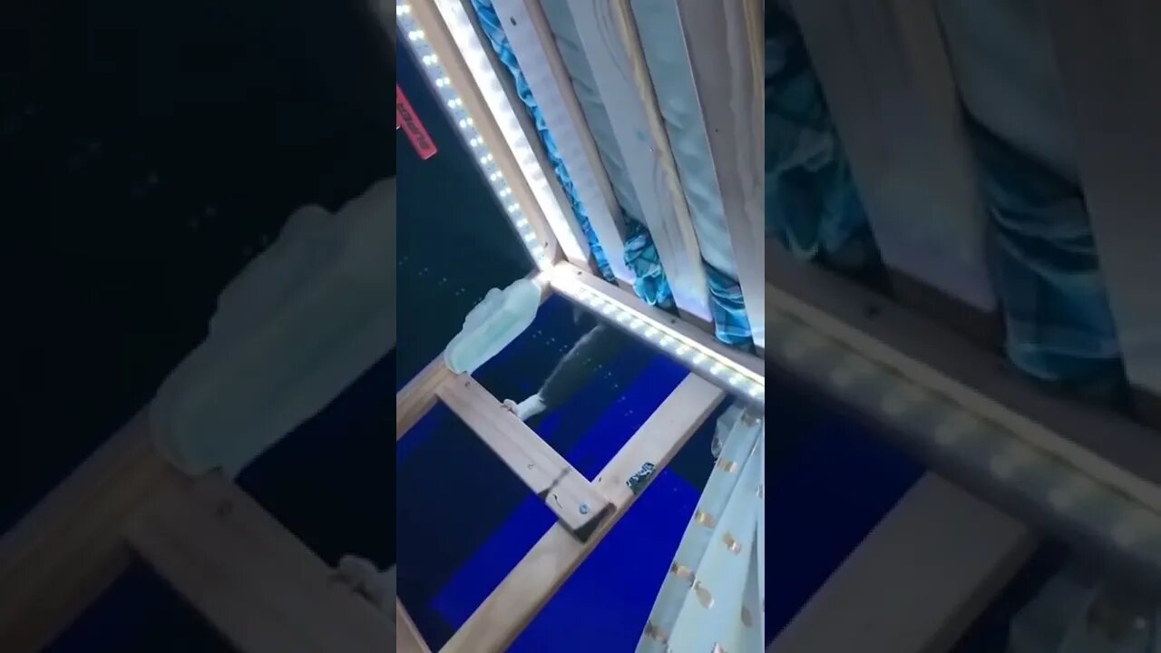 Funny Animals 154 funnycontent707