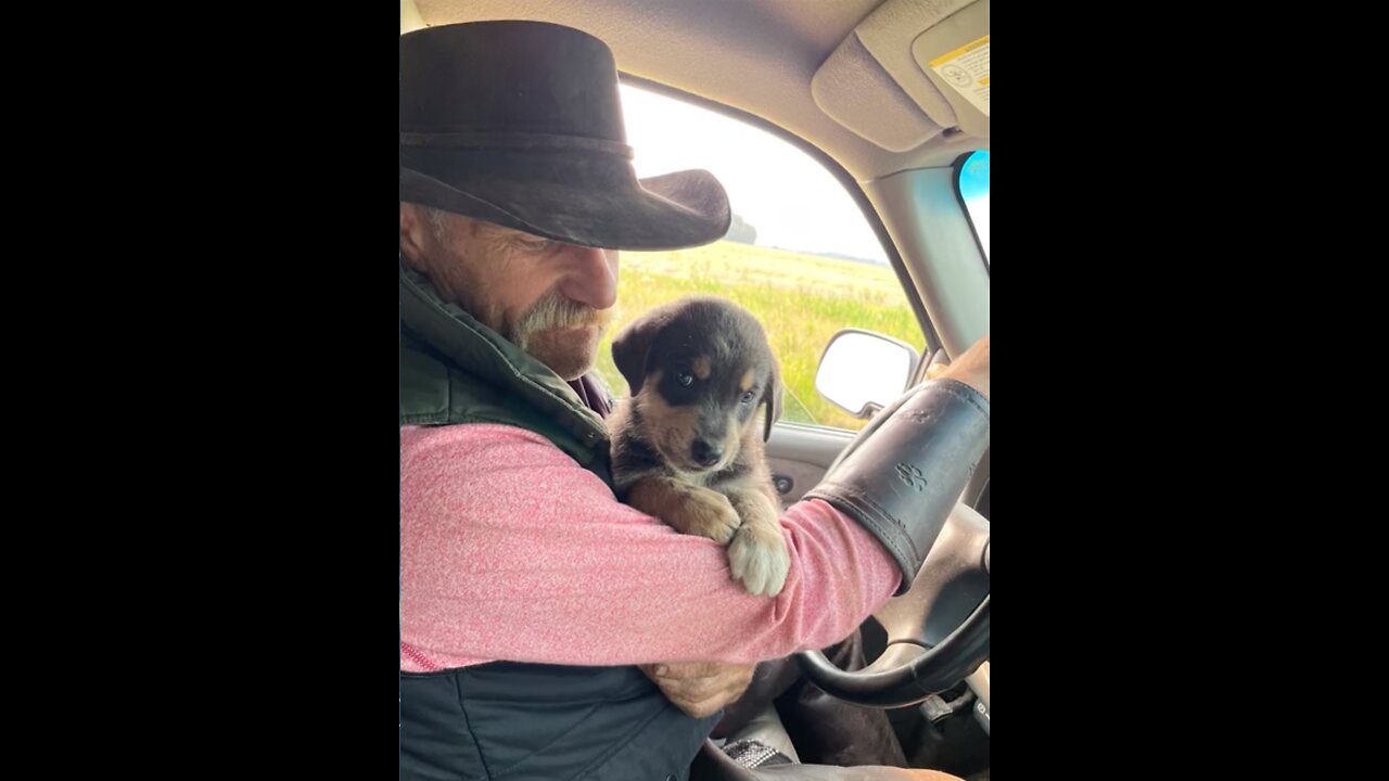 True Canadian Cowboy🍁Welcoming🐶TJ💥🔥😎