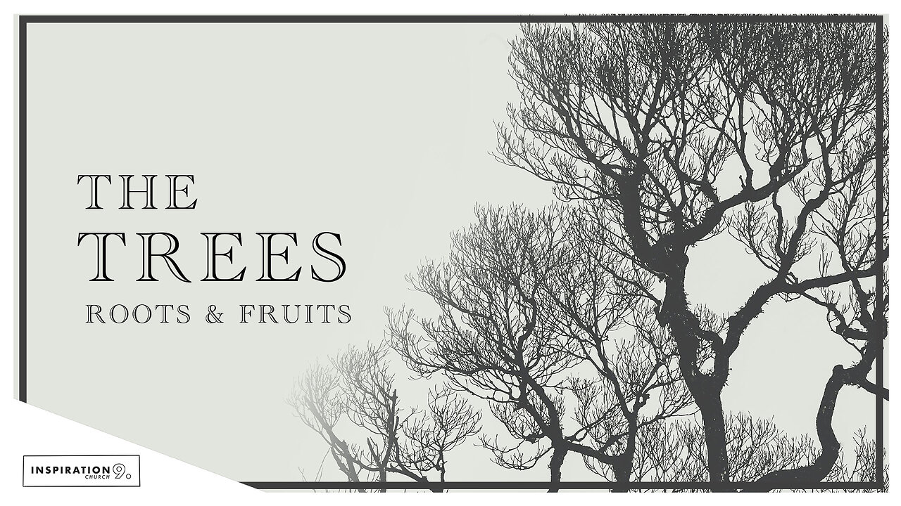 The Trees: Roots & Fruits // February 25, 2024