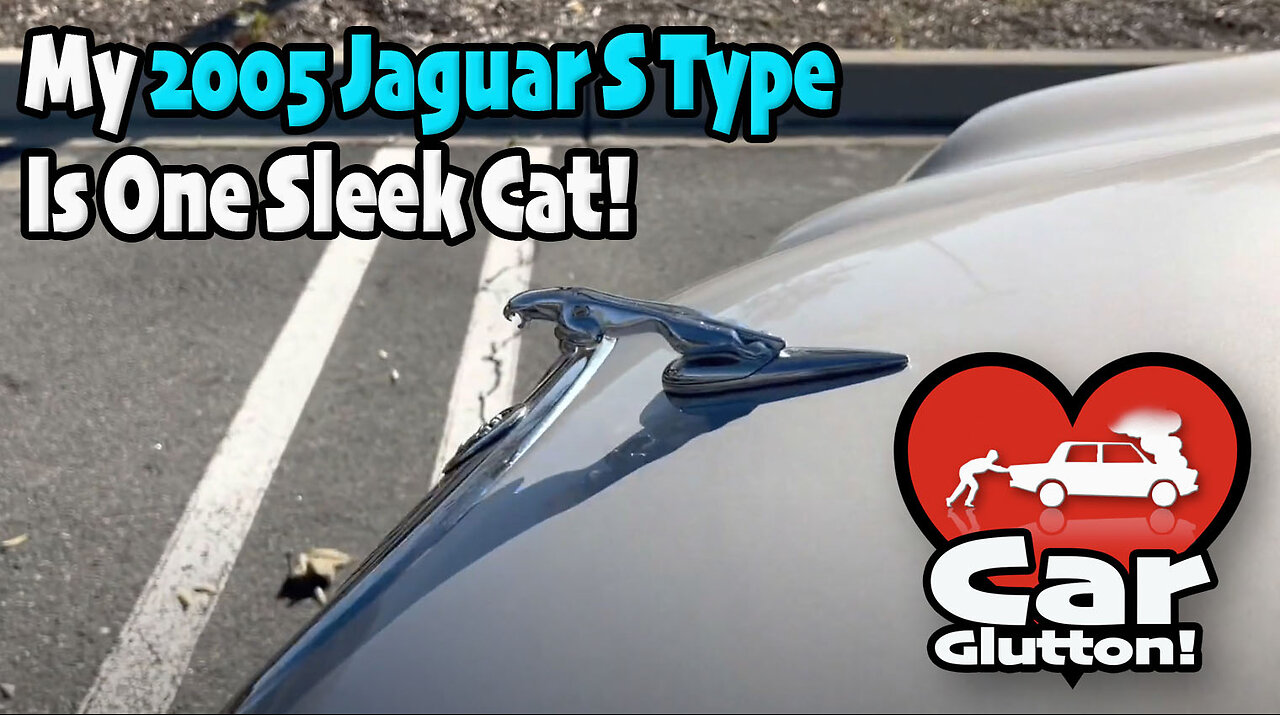 The Car Glutton: One Sleek Cat, Jaguar S Type