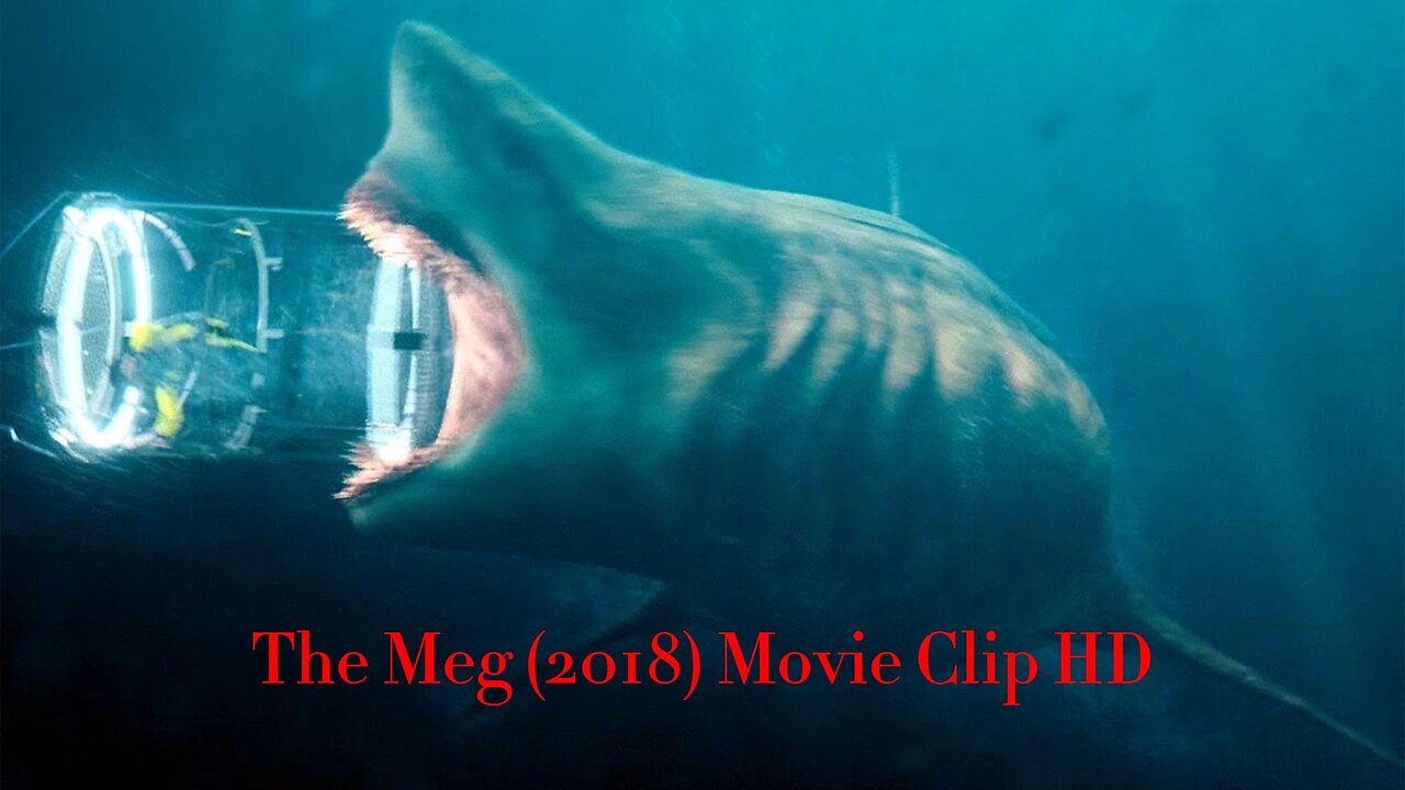 Megalodon vs Shark Cage Scene - The Meg (2018) Movie Clip HD