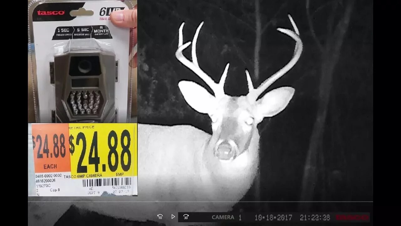 TASCO 6MP TRAIL CAMERA - Best Budget Trail Camera - Video Footage