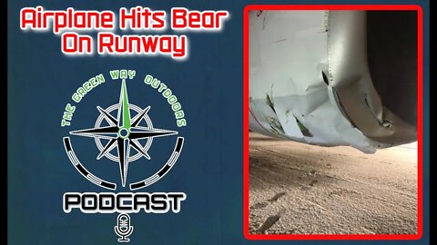 Brown Bear And Airplane Collide On Alaska Runway - The Green Way Outdoors Podcast Clips