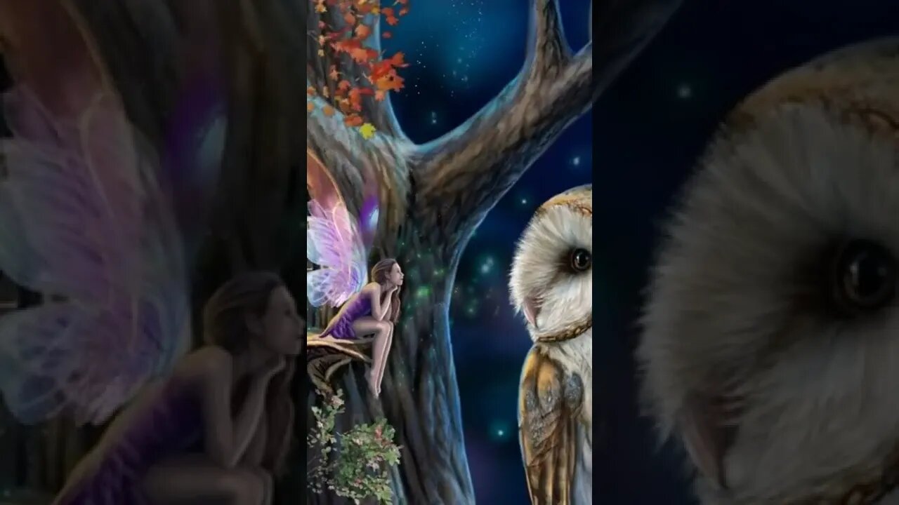 Eu Acredito ...é Você ?