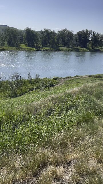 Morning meditation and Creative Inspiration