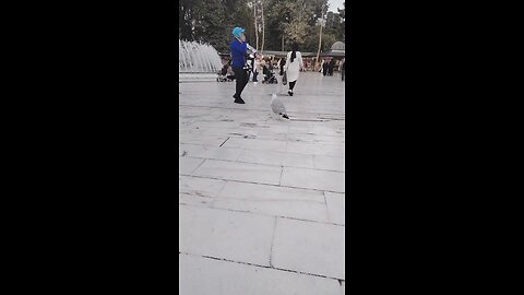 Shrine In Turkey