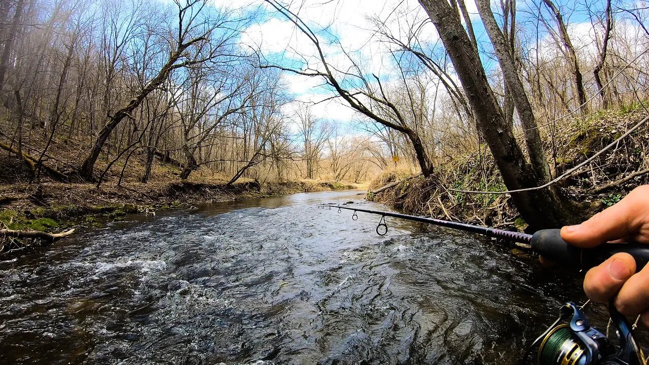 Small Creek TROUT Fishing with a TINY Spinner