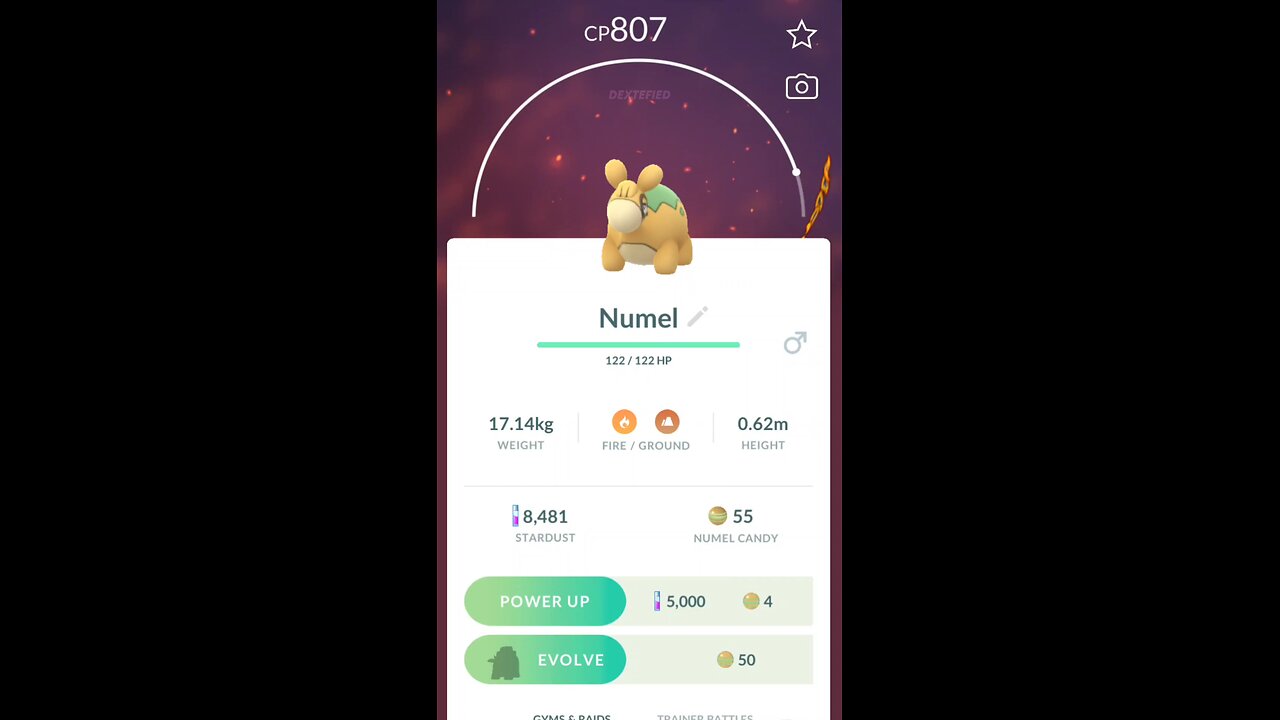 Numel evolves into Camerupt in Pokemon GO #pokemon #pokemongo