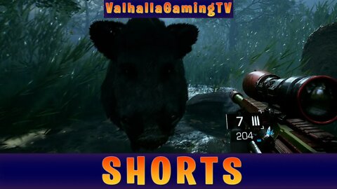 How To Go Boar Hunting in The Forest!!! (Bright Memory Infinite) @ValhallaGamingTV
