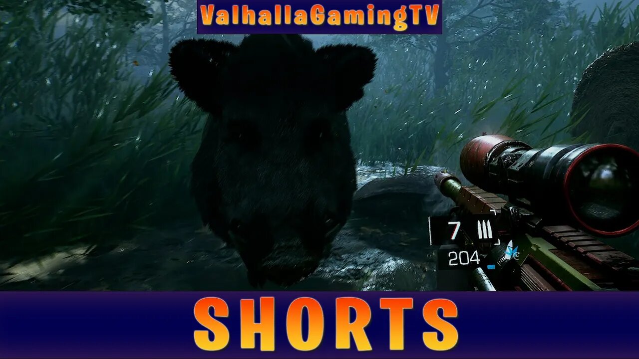 How To Go Boar Hunting in The Forest!!! (Bright Memory Infinite) @ValhallaGamingTV