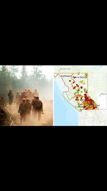 There Are 260 Wildfires Raging Around BC & This Map Will Show You Exactly Where They Are