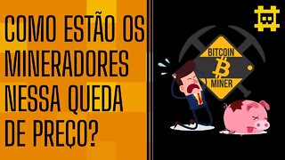 Mineradores de BTC estão passando dificuldades nessa queda? - [CORTE]