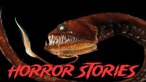 3 Horrifying True Fishing Stories