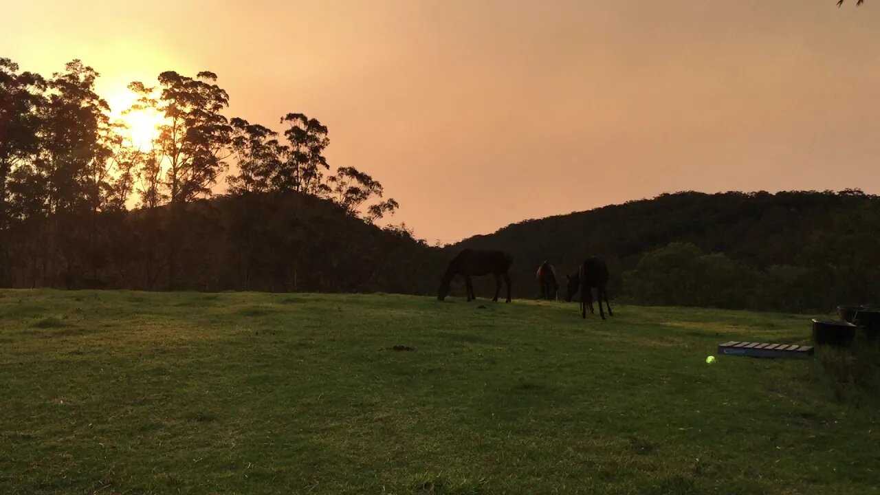The girls first night at Wyong Creek
