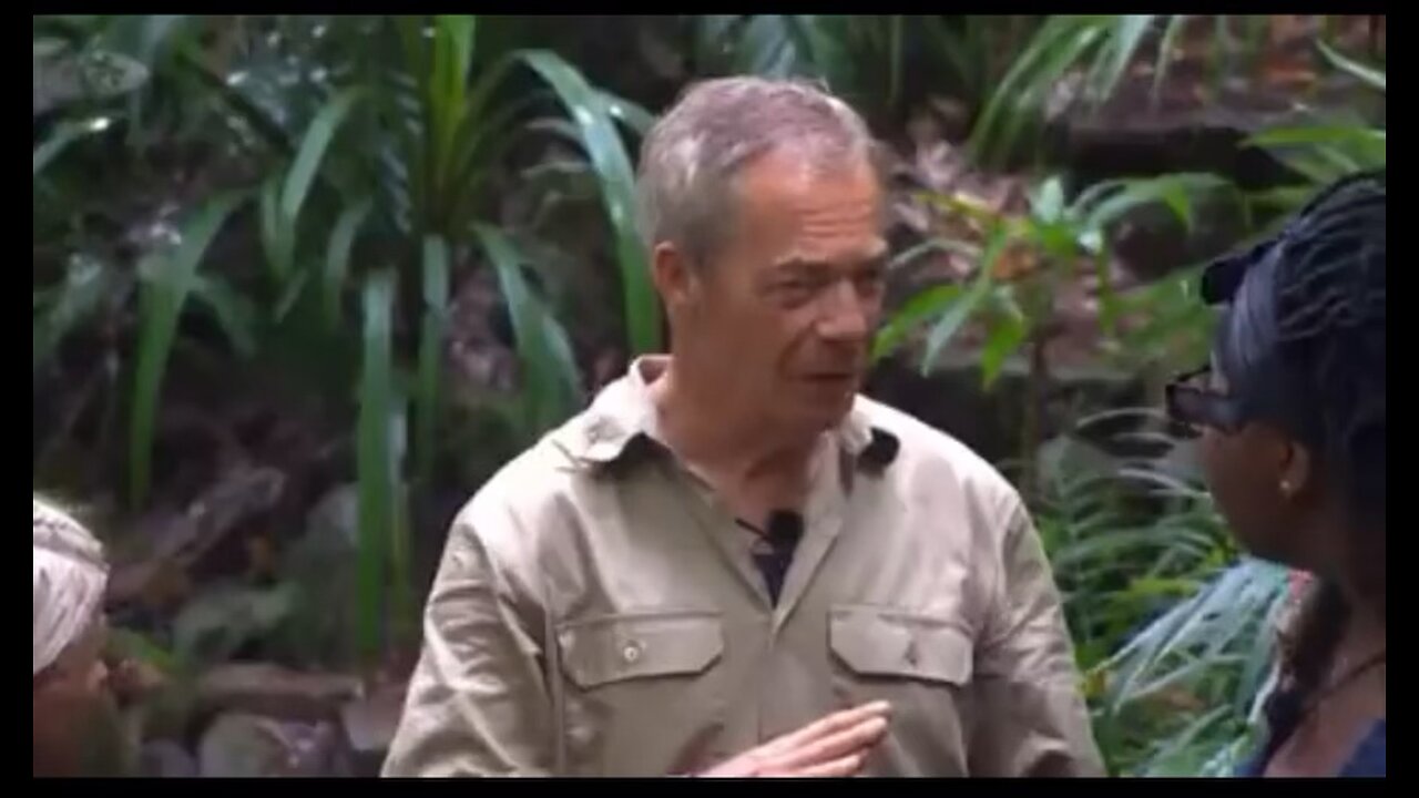 Nigel farage immigration