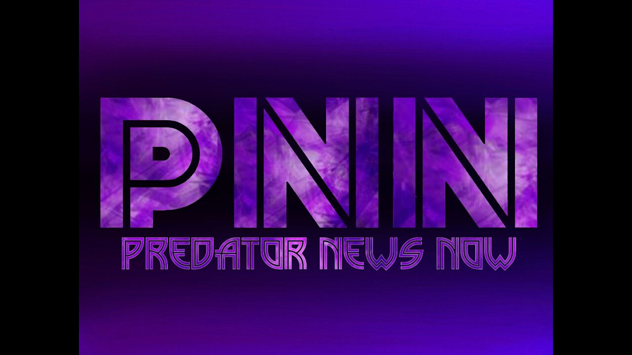 Episode 5 - Weekend Recap PT 1 - Predator News Now PNN