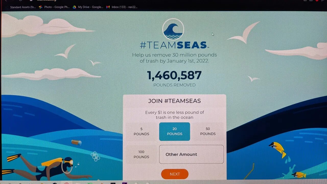 what can you do for #teamseas ?