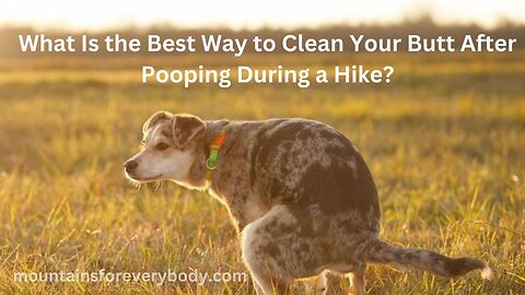 What Is the Best Way to Clean Your Butt After Pooping During a Hike?