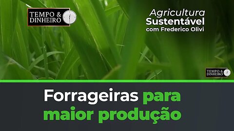 Forrageiras para maior produção