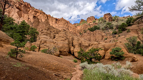 Red Mountain & the Lava Cave - Flagstaff, Arizona