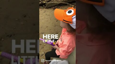 Come on little fishy fishy🎣🐟 #familychannel #familycontent #familyvlog #travelvlog #shorts