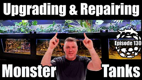 Repairing the 3000 Gallon Shark Tank and Upgrading the 4500 Gallon Xingu River Aquarium!