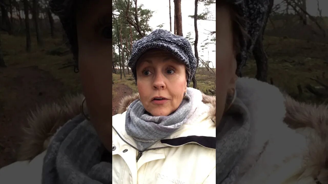 Energiuppdatering och känslosvackor