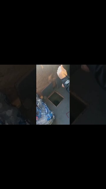 Catching Walleye #icefishing