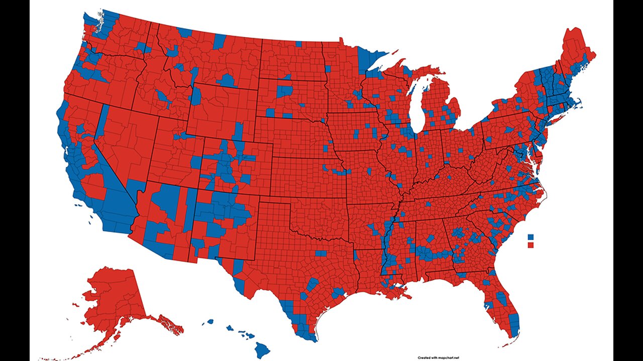 Trump To Assemble Teams To Investigate 2020 Election, Pelosi's Daughter "Curing" Ballots In CA Races