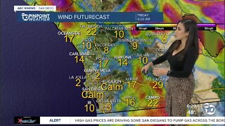 ABC 10News Pinpoint Weather with Weather Anchor Vanessa Paz