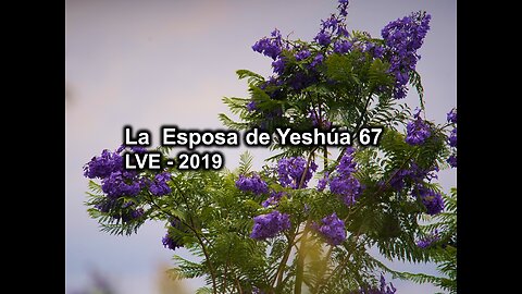 La Esposa de Yeshúa 67 - YHWH Ekjad 46 - Juan 8