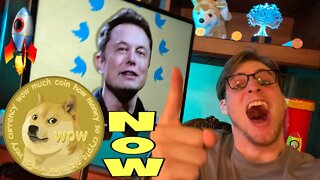 Elon Musk BIG NEW Dogecoin Tweet!!!