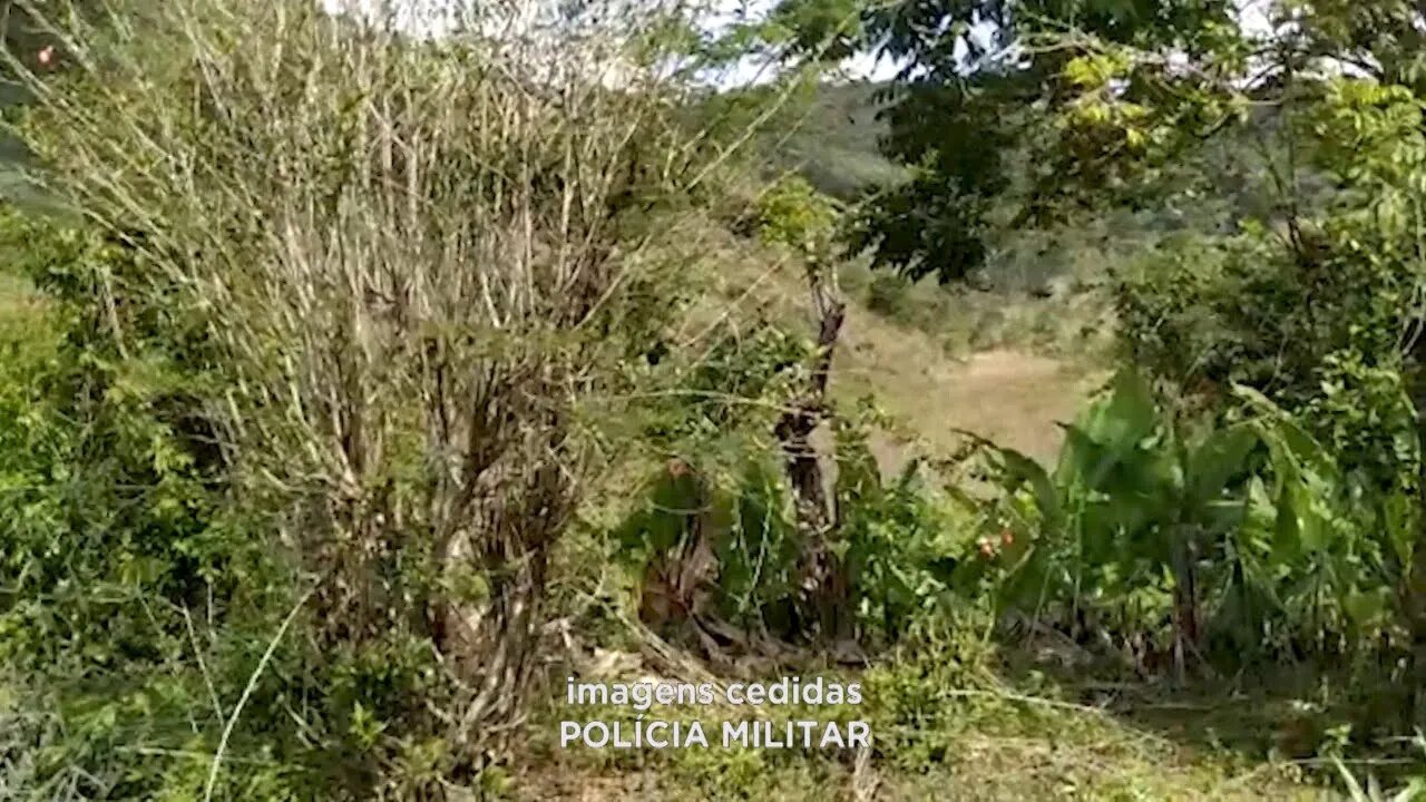 Feminicídio: homem acusado de crime é preso durante operação da PM na zona rural de Sardoá