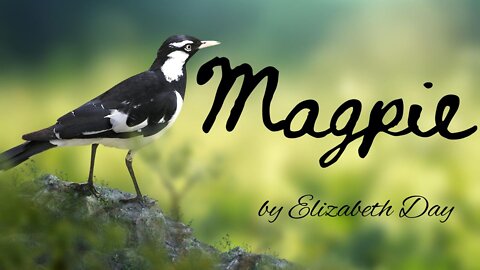 MAGPIE by Elizabeth Day