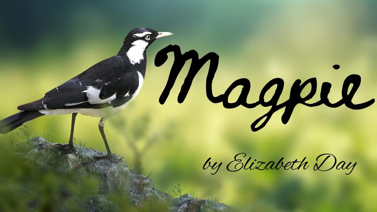 MAGPIE by Elizabeth Day