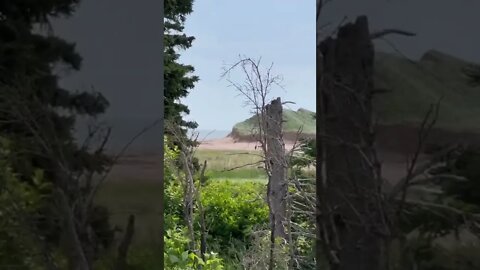 Cavendish beach from the campground