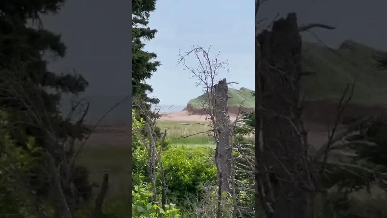 Cavendish beach from the campground
