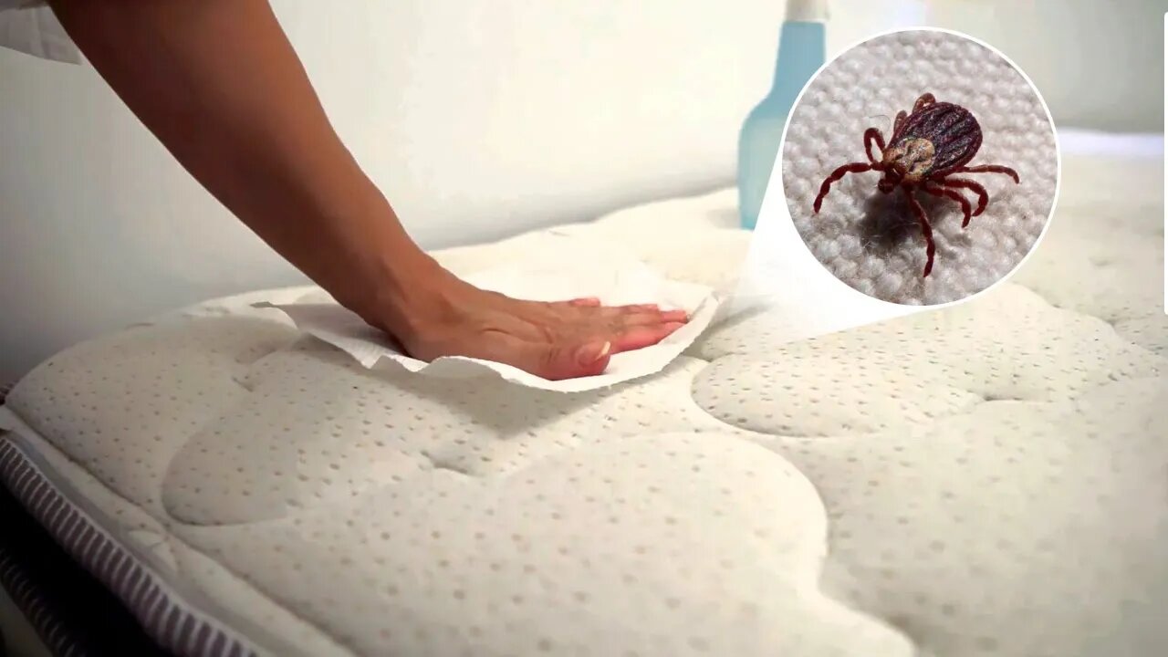 How to Remove Dust Mites from a Mattress