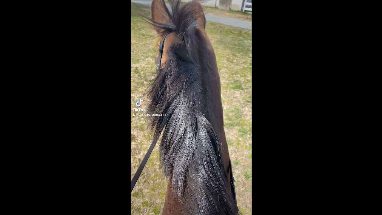 Destiny on a ride