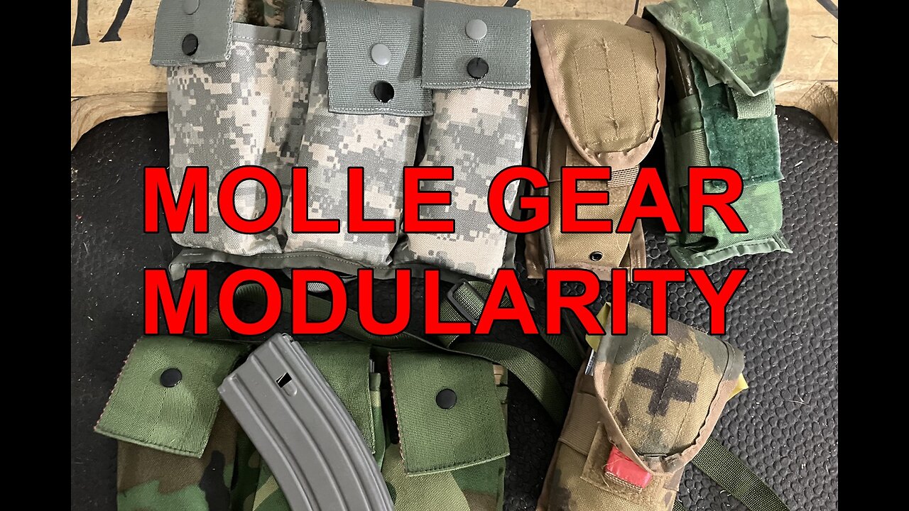 MOLLE AMMO POUCH AND BANDOLIER