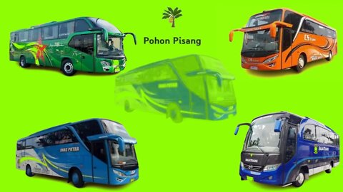 Tebak Gambar Bus Oleng Bergoyang Dengan Benar